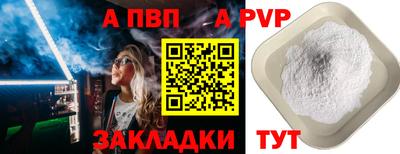 шишки Новодвинск