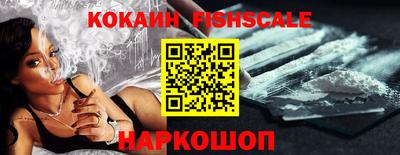 шишки Новодвинск