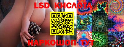молекула духа Новозыбков