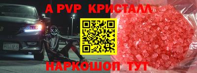 шишки Новодвинск