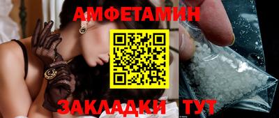 шишки Новодвинск