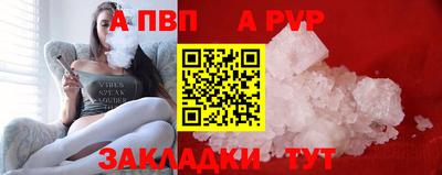 шишки Новодвинск