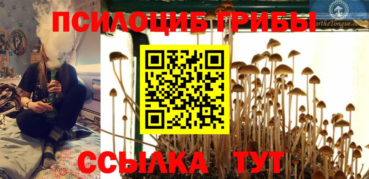 Галлюциногенные грибы ЛСД  Вход с VPN  Барнаул 