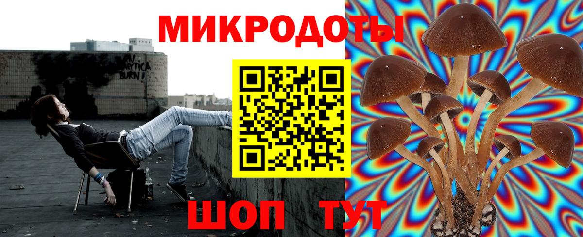 Галлюциногенные грибы Magic Shrooms Барнаул