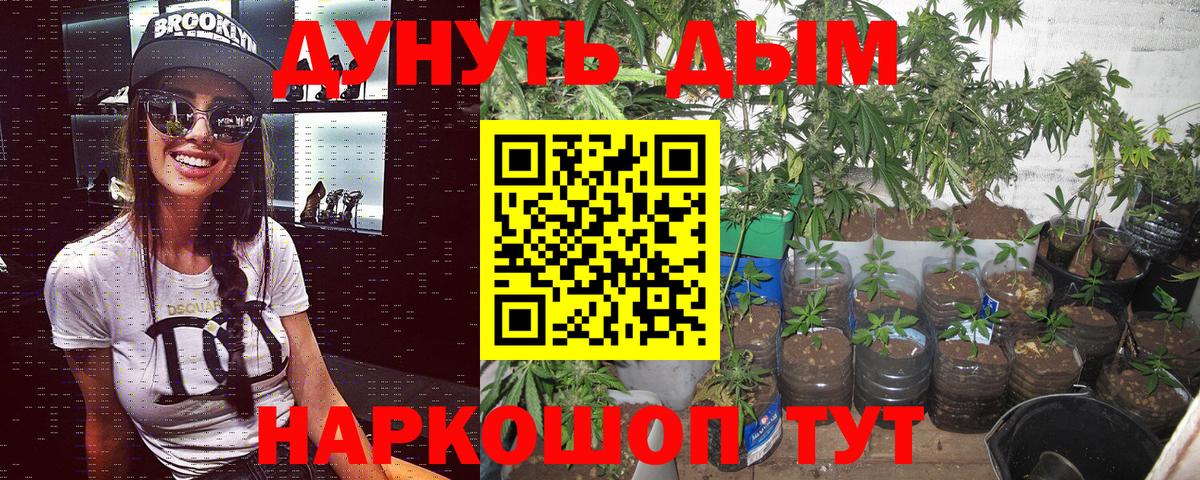 Конопля LSD WEED  Марихуана план  Барнаул  Вход с VPN  Канабис Amnesia  Бошки марихуана ГИДРОПОН 